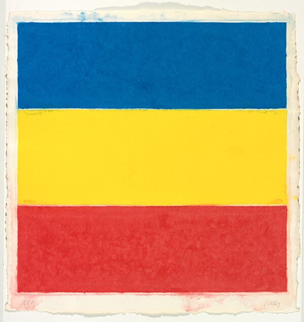 Ellsworth Kelly Colored Paper Image XVI, 1976 Pressed paper pulp in colors 32.5h X 31w in. Edition 23/24
