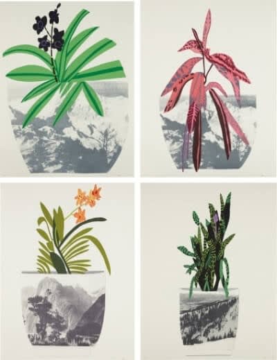 Jonas Wood Untitled, 2014 The complete set of 4 lithographs and screen prints in colors, on coventry rag paper, with full margins 48h x 37.10w in 121.92h x 94.23w cm 50 For sale at VFA