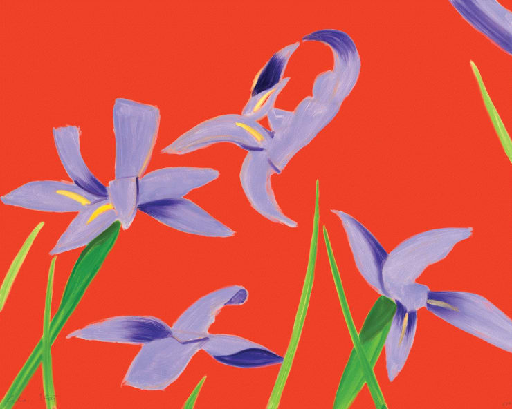 Alex Katz Purple Irises on Red, 2023 Archival pigment ink print, on Innova Etching Cotton Rag 315 gsm 24 x 30 Edition of 150 Available at VFA