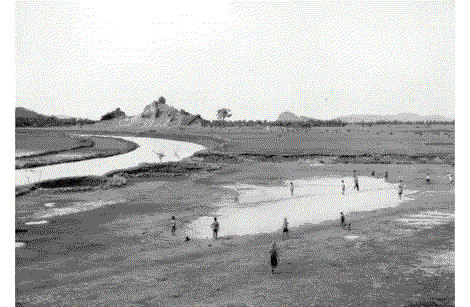 An-My Le TRANH-HOA, 1998 Silver Gelatin Print 16 x 20 ins 40.64 x 50.8 cm Available at VFA