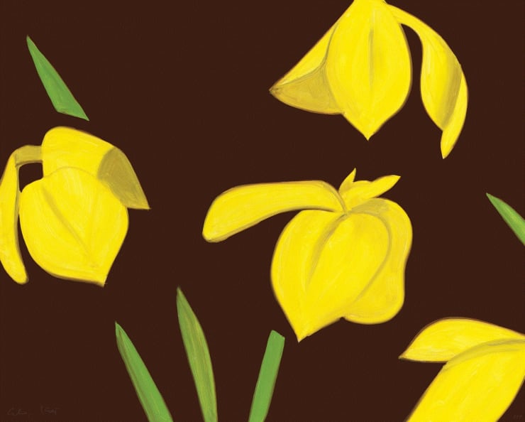 Alex Katz YELLOW FLAGS ON BROWN, 2023 Archival pigment ink print, on Innova Etching Cotton Rag 315 gsm 24 x 30 56/150 Available at VFA
