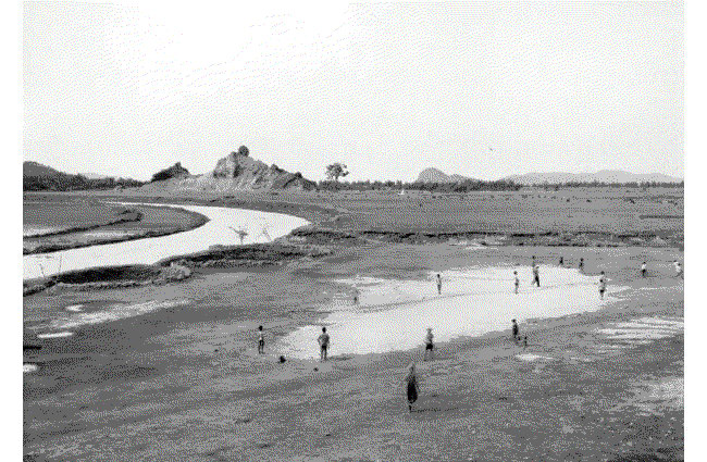 An-My Le TRANH-HOA, 1998 Silver Gelatin Print 16 x 20 ins 40.64 x 50.8 cm Available at VFA