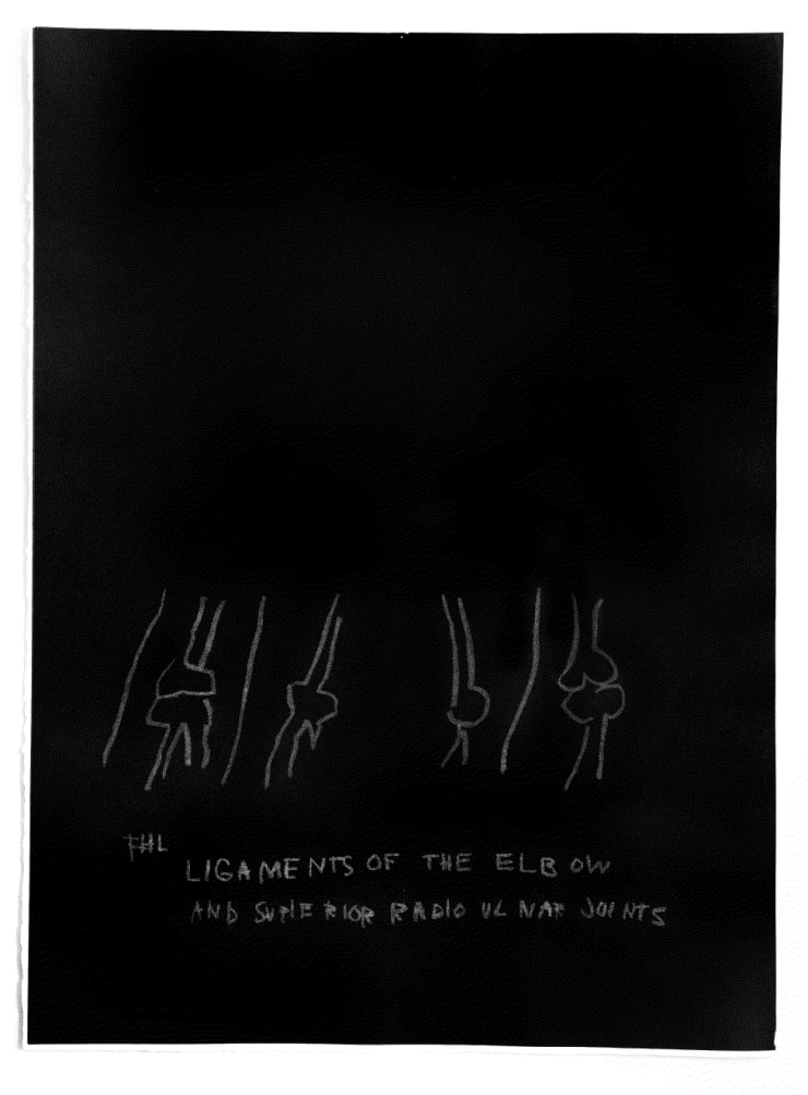 Jean-Michel Basquiat "LIGAMENTS OF THE ELBOW" PLATE FROM THE ANATOMY SERIES", 1984 Print on Arches paper 30 x 22 ins 76.2 x 55.88 cm Available at VFA