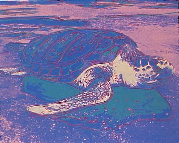 Andy Warhol Sea Turtle, 1985 Screenprint On Lenox Museum Board 31.50h x 39.38w in 240/250 For sale at VFA