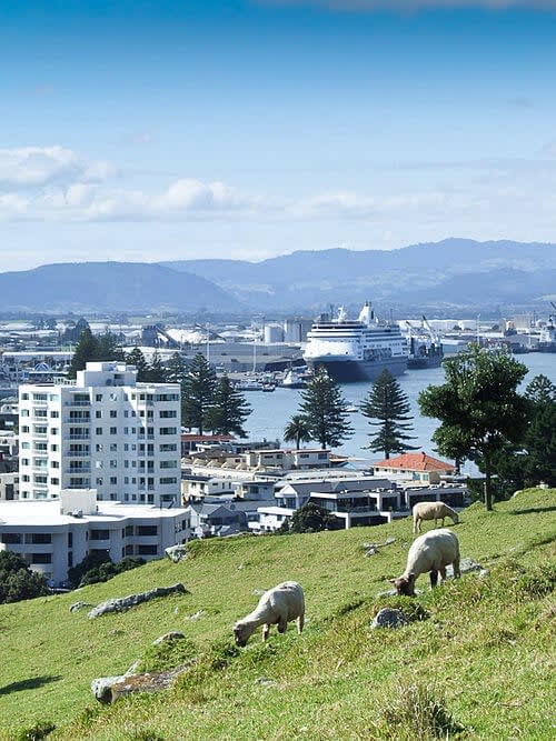 Tauranga, New Zealand is having a Street Art Festival showcasing a collection on Banksy’s art