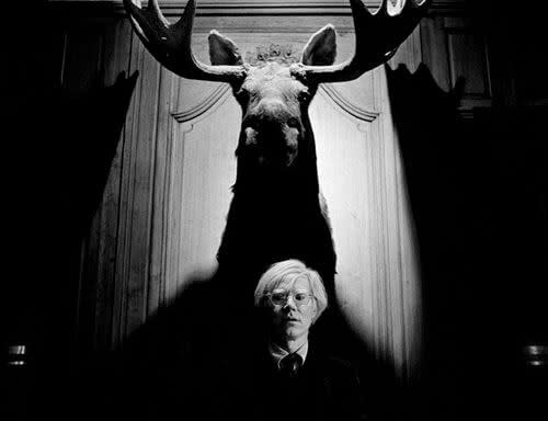 The Moosehead in Andy Warhol’s home will be auctioned to support the ASPCA