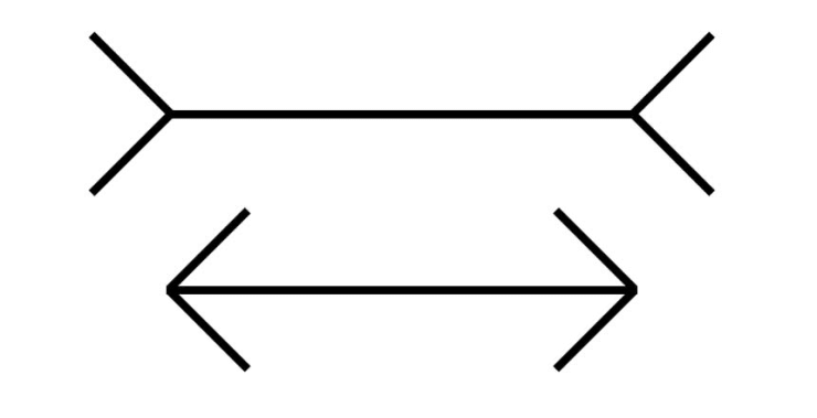 The Mueller-Lyer Illusion: Two parallel lines, one with fins facing inward, the other with fins facing out. Most Americans say that the line with the outward facing fins is larger that the other line.