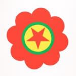 Polly Apfelbaum The Kurdistan Worker’s Party (Flags of Revolt and Defiance)-2006 Color Silkscreen Edition of 27, 30 X 19 in.
