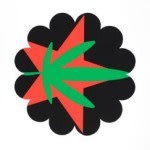Polly Apfelbaum, Yippies (Flags of Revolt and Defiance)-2006 Color Silkscreen Edition of 27 30 X 19 in.
