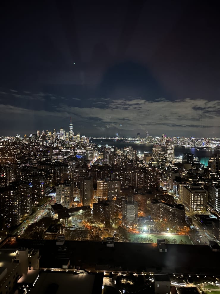A stunning view of downtown Manhattan.