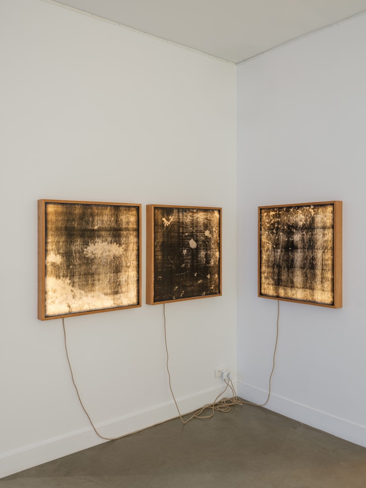 photo © Gregory Copitet