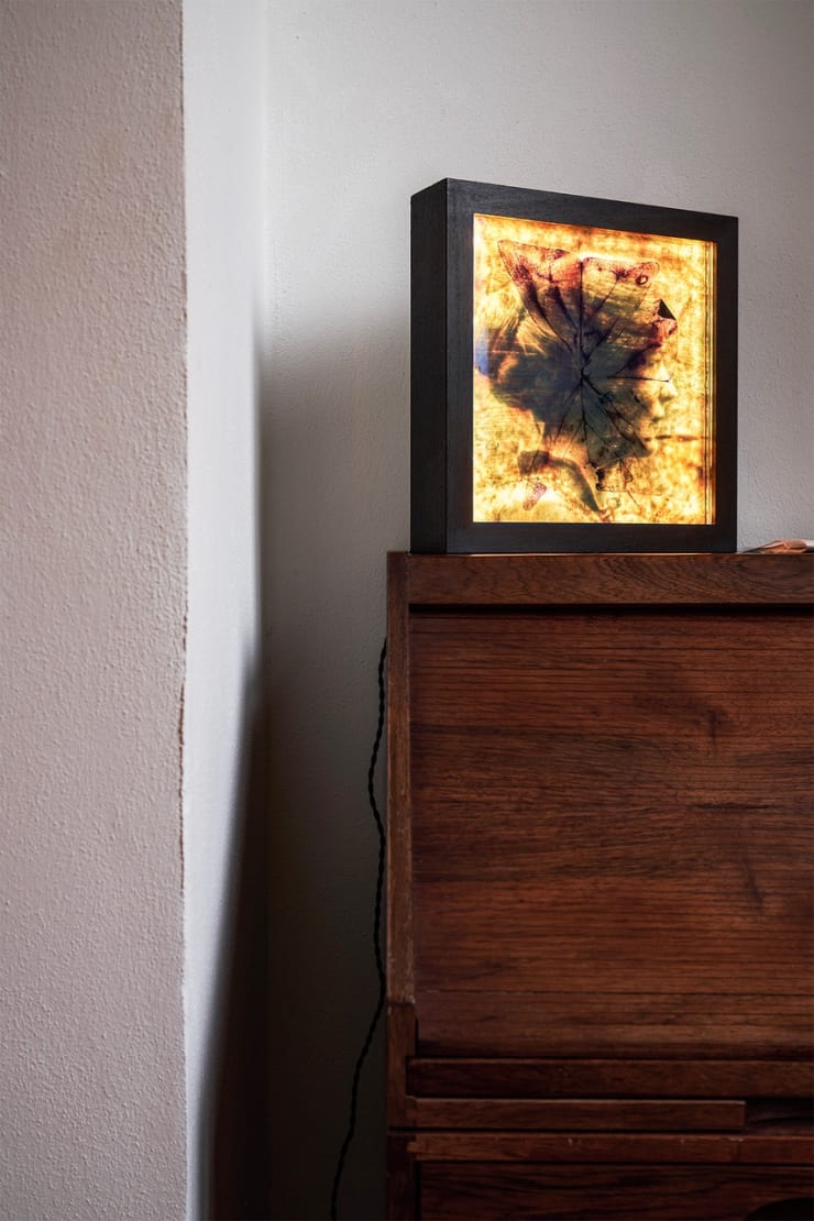 Installation view Photo © Fabrizio Cicconi