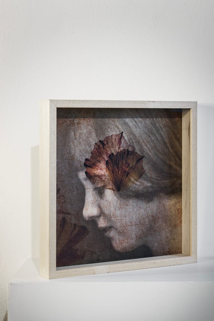 Installation view Photo © Fabrizio Cicconi