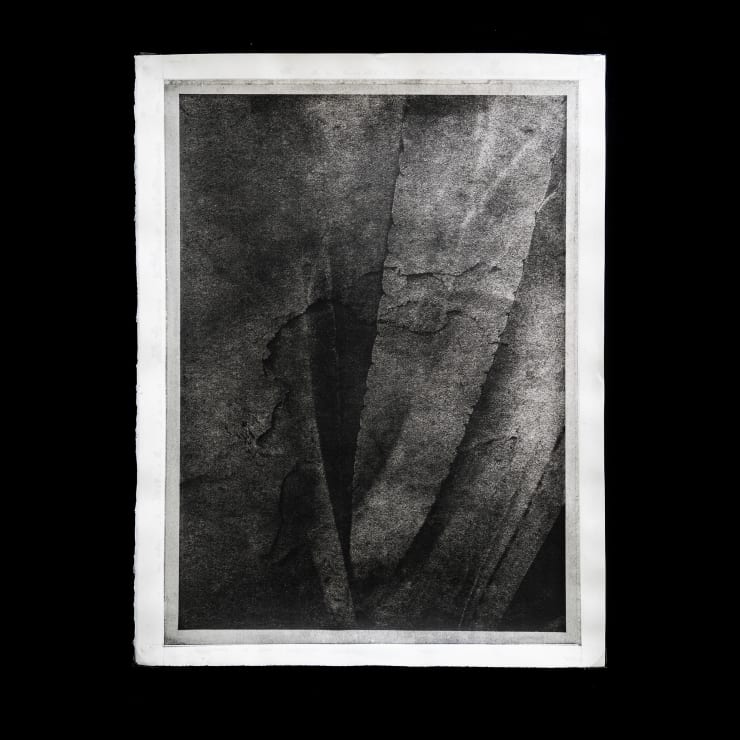 Alessandra Calò, χθόνιος (chthonic), 2024