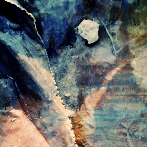 Pietro Bologna, Da Ettaro (From Hectare), 2020-2021