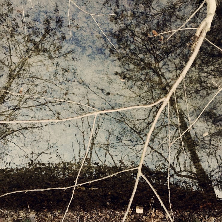 Pietro Bologna, Ettaro (Hectare), 2018