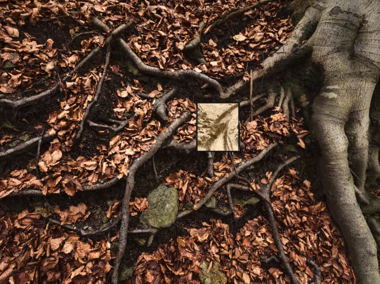 Jacques Pion, Intimus, 2022-2024