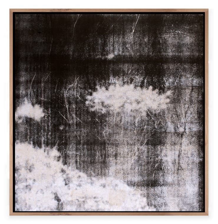 Pietro Bologna, Elegìa (Elegy), 2025