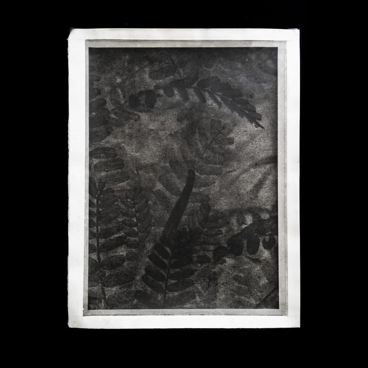 Alessandra Calò, χθόνιος (chthonic), 2024