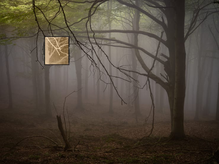 Jacques Pion, Intimus, 2022-2024