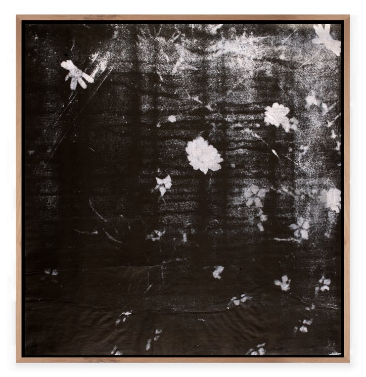 Pietro Bologna, Elegìa (Elegy), 2025