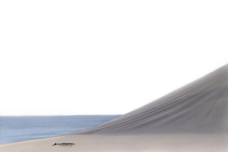 Tina Cosmai, Attraversare il tempo. Opera 1 (Crossing Time. Artwork 1), 2021