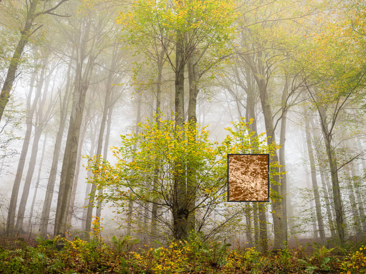 Jacques Pion, Intimus, 2022-2024