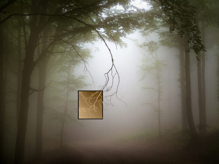 Jacques Pion, Intimus, 2022-2024