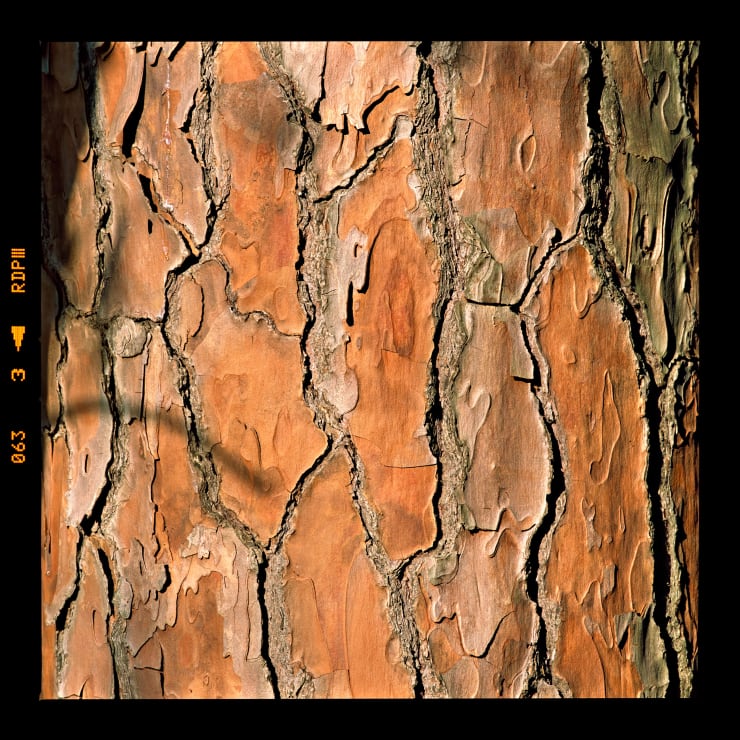 Alessandro Vicario, Novilara, Pesaro, 1 gennaio 2016, ore 12.40 circa, 2016