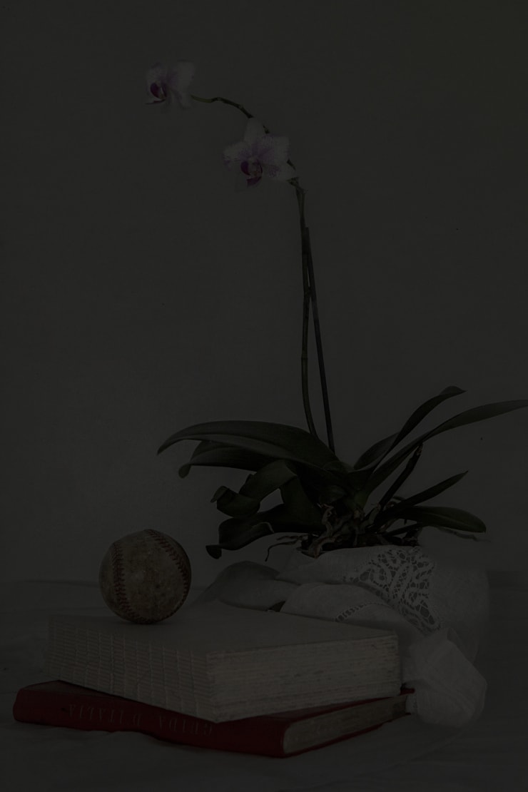 Alessandra Calò, The Garden's Tale (SOLD), 2022