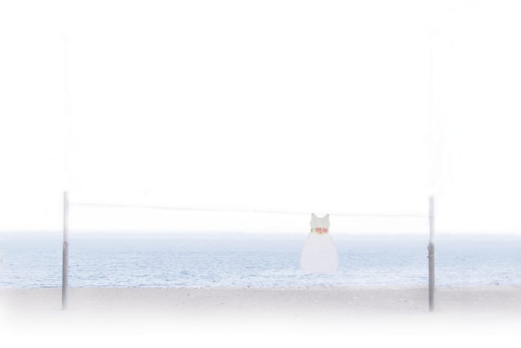 Tina Cosmai, Nostalgia del corpo. Opera 4 (Body Nostalgia. Artwork 4), 2020