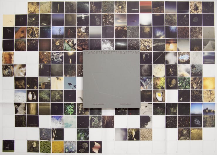 Pietro Bologna, Ettaro