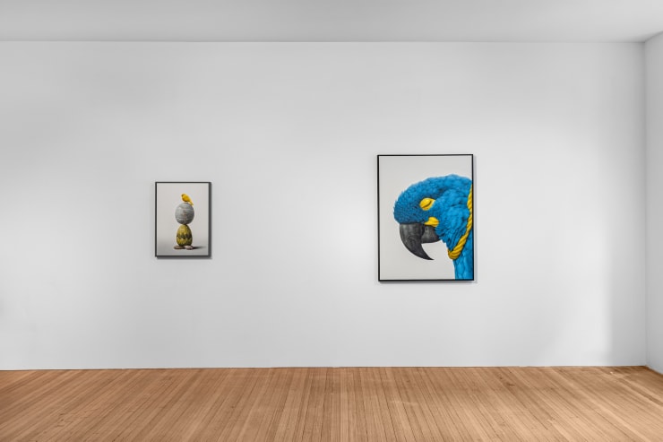 Eckart Hahn: Silence