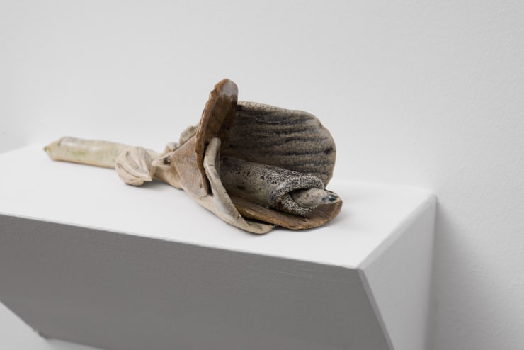 Alma Pearl Ayla Dmyterko 018