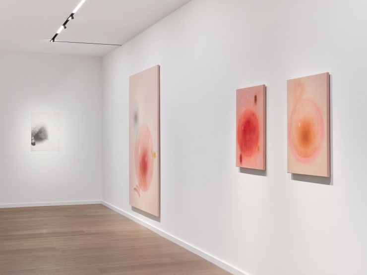 Oh 821D Almap Mg Inst Indwks 028