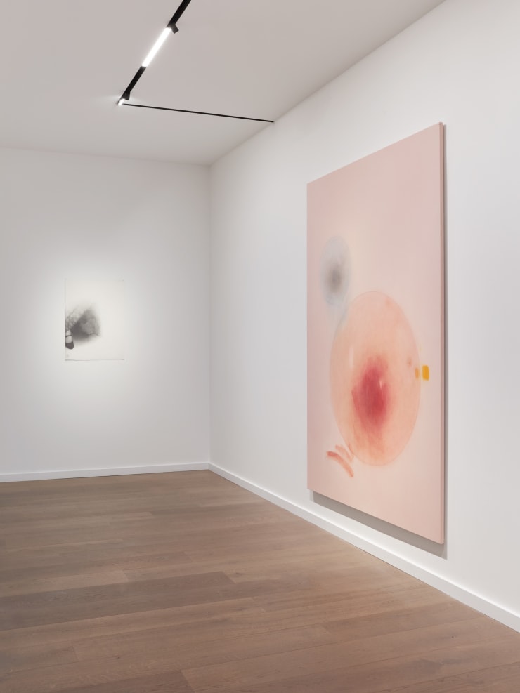 Oh 821D Almap Mg Inst Indwks 029