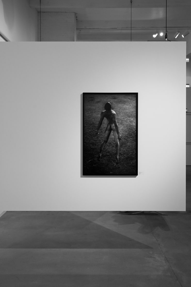 Haute Photographie Rotterdam