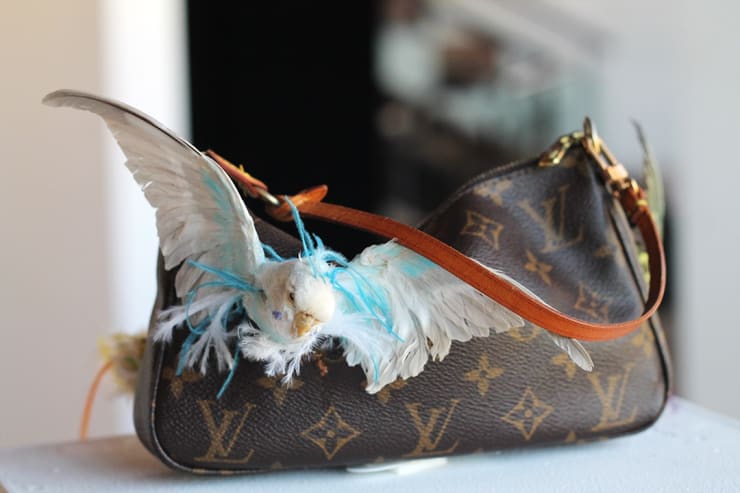 Armando De La Garza 5976 Copia