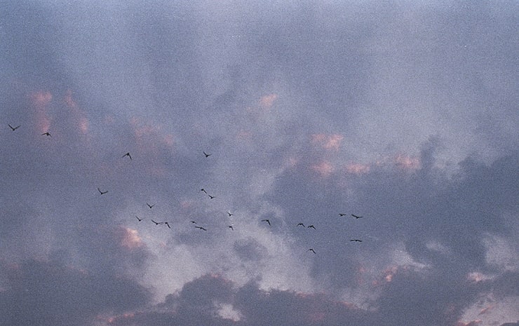 Congelada 01 Pa Jaros Florencia Serrano