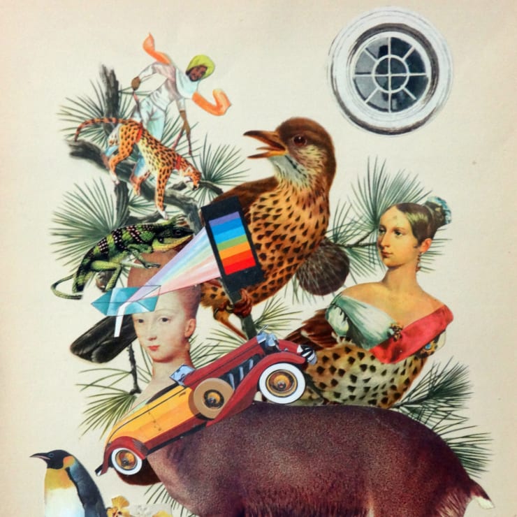 Pájaros de amuchástegui Mauricio Garrido