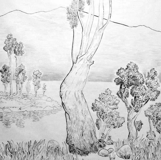 Éter Tomás Quezada