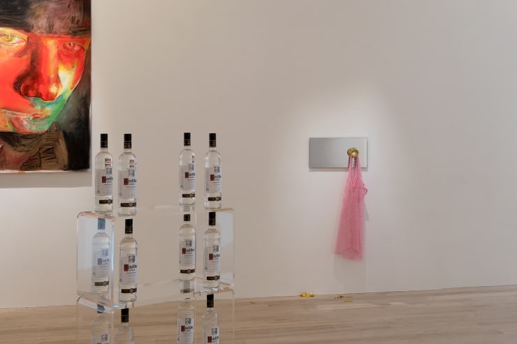 The Last Day of Disco, installation view. Photo: Inna Svyatsky