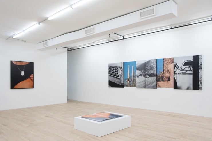 Pacifico Silano, If You Gotta Hurt Somebody, Please Hurt Me, installation view. Photo: Inna Svyatsky