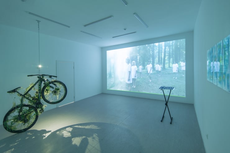 Jura Shust, NEOPHYTE, 2020, installation View