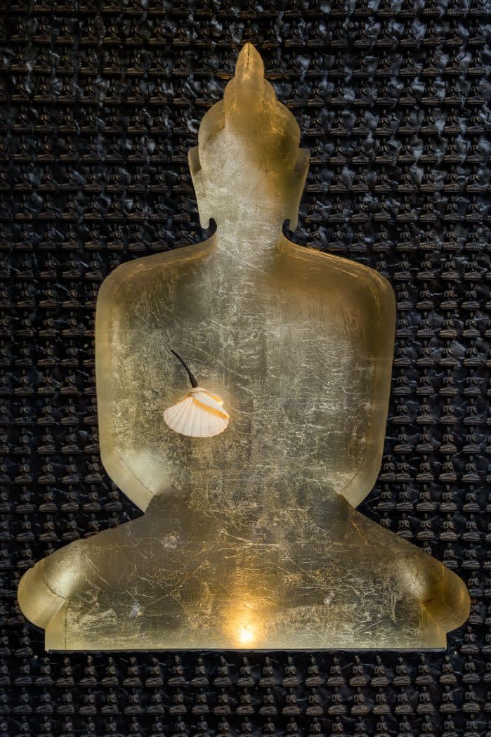 Shambhala TRANQUILLITY AMIDST CHAOS