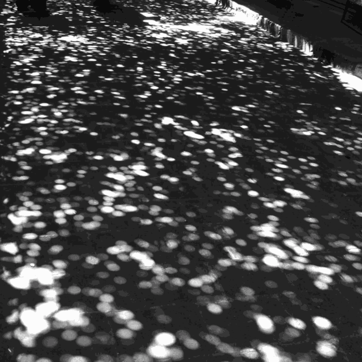 NASSOUH ZAGHLOULEH Damas Caré, 2006 Photographic Print Edition of 3 61 x 61 cm