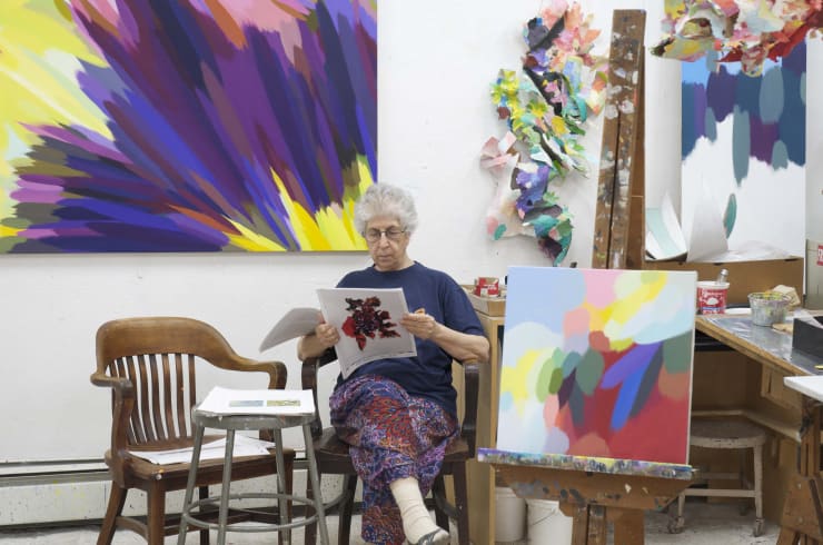 Samia Halaby wins Palestine Book Award