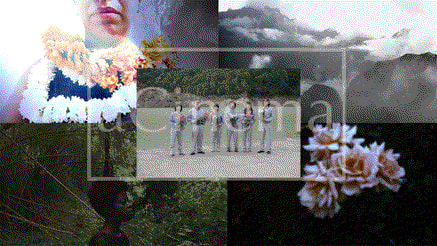 Sama Alshaibi Video Screening