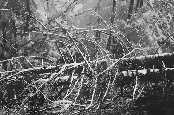 Spangaro Melody Col Ferret 80X119Cm Copy