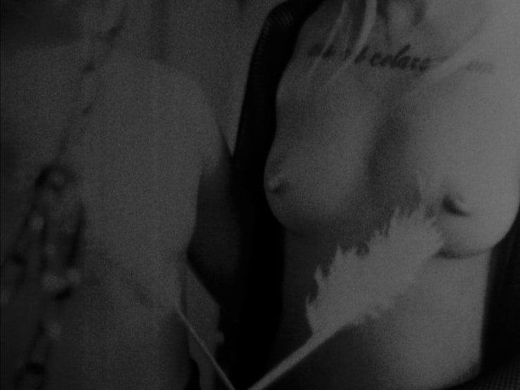 Velvet Gloves Melody Woodnutt